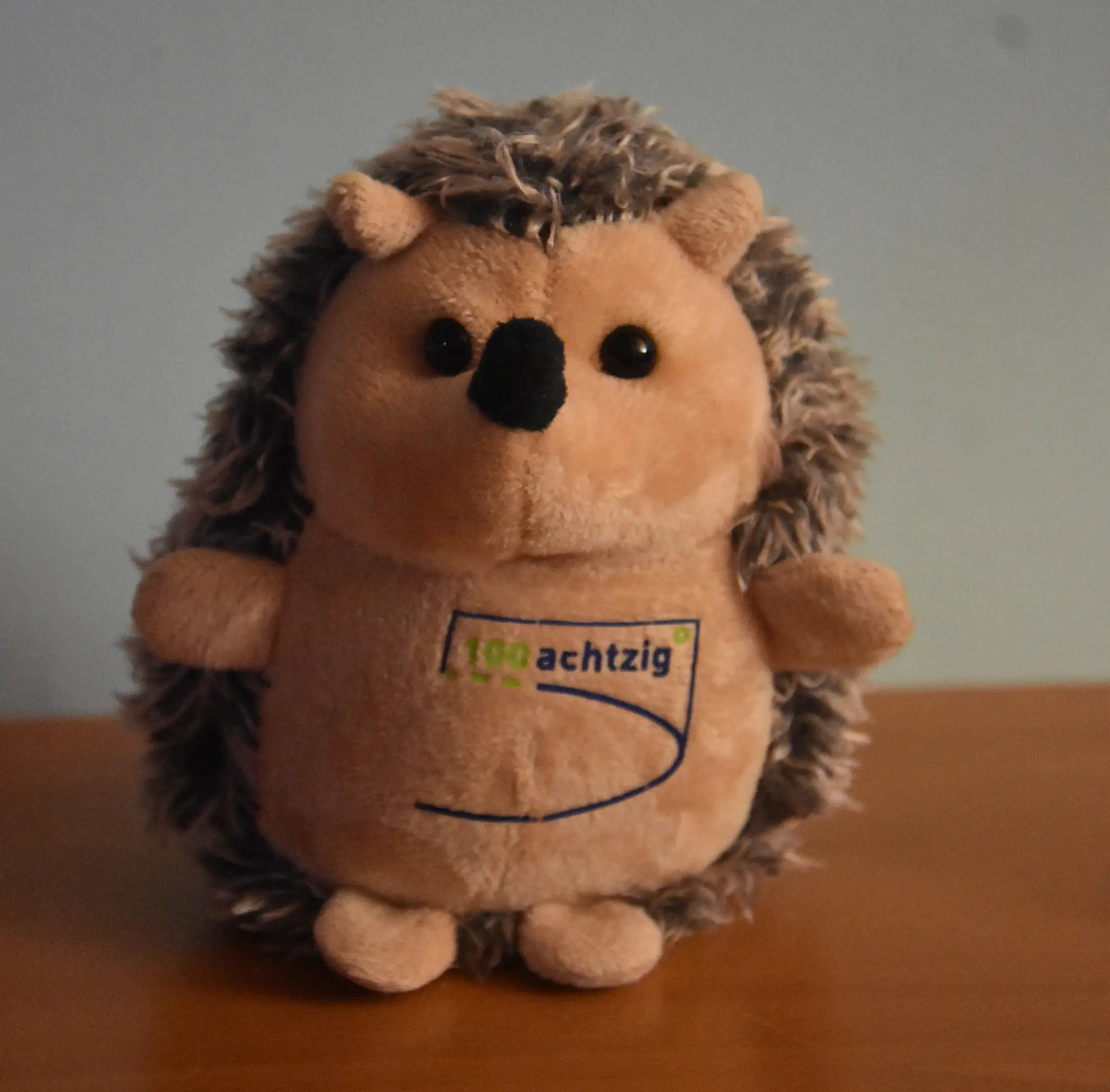 Unser Maskottchen | 100achtzig°